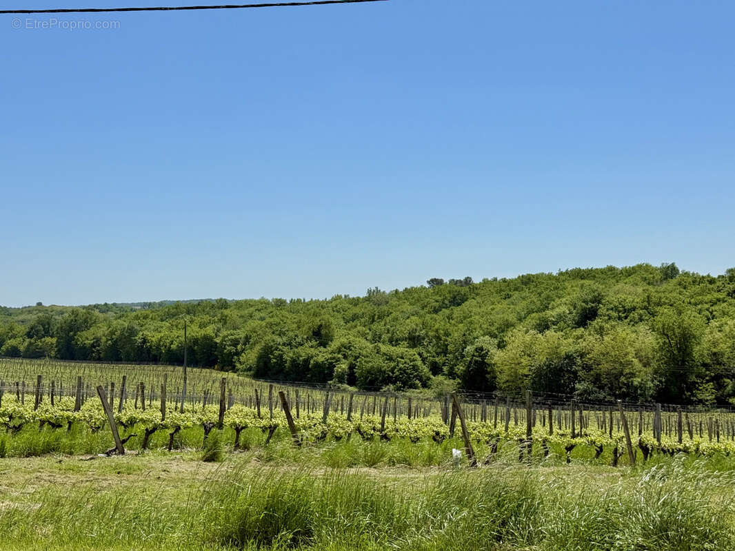 Maison à SAUVETERRE-DE-GUYENNE