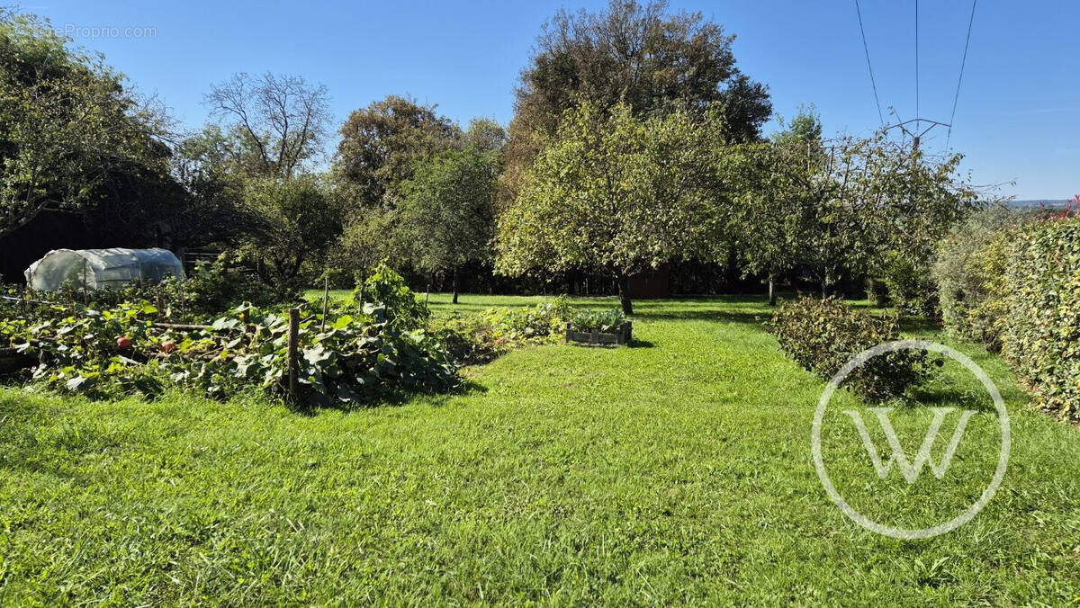 Terrain à CUSSEY-SUR-L&#039;OGNON