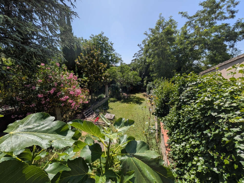 Maison à VILLENEUVE-TOLOSANE