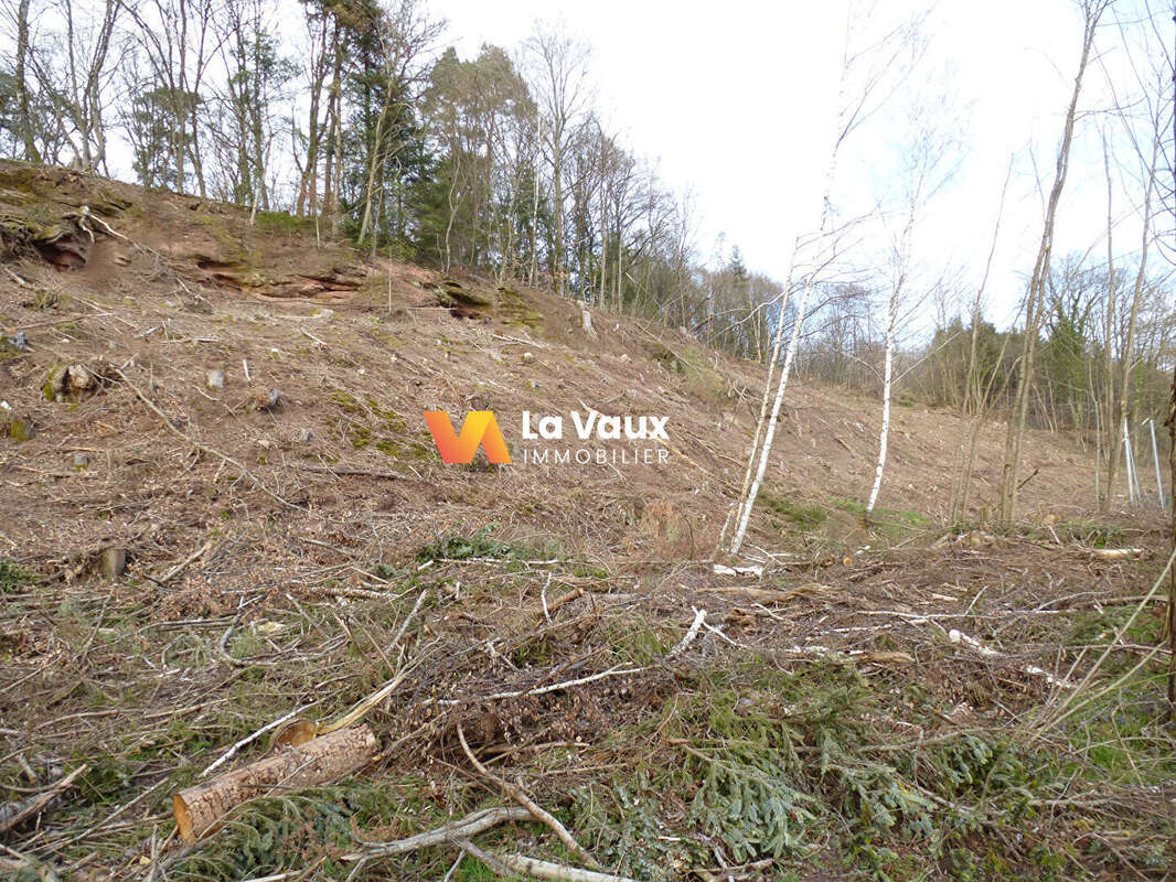 Terrain à RAON-L'ETAPE