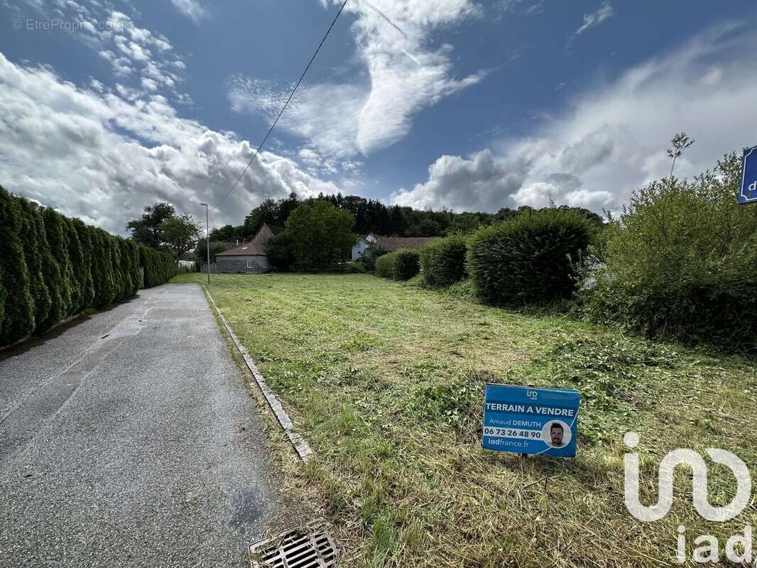 Terrain 1238 m² à Seppois-Le-Haut  - photo 2