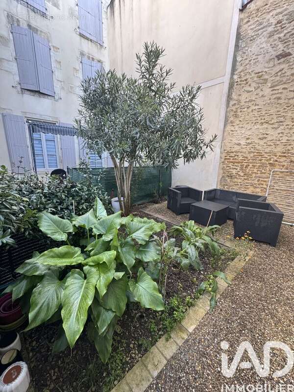 Photo 4 - Appartement à MARANS