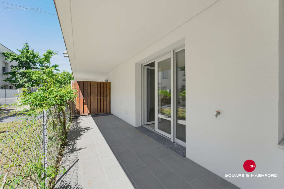 T2 bordeaux ginko - photo 7