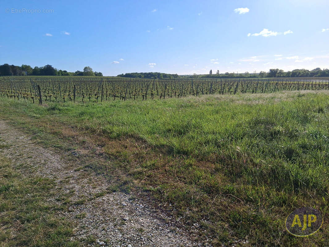 Appartement à SAINT-SEURIN-DE-CADOURNE