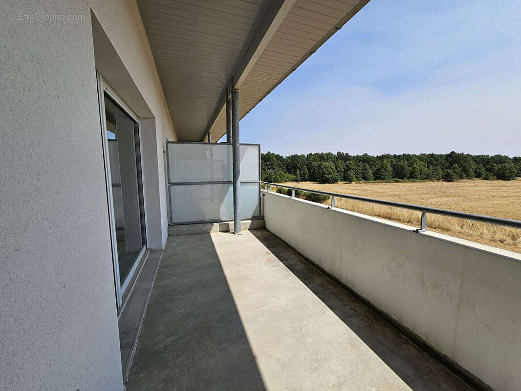 Plaisance-du-touch - Appartement T2 de 46m2 - photo 3