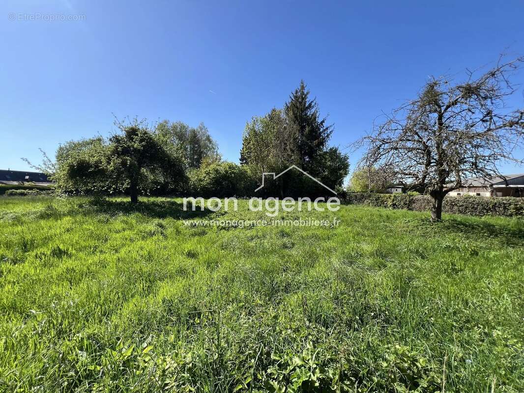 Terrain à QUINCAMPOIX