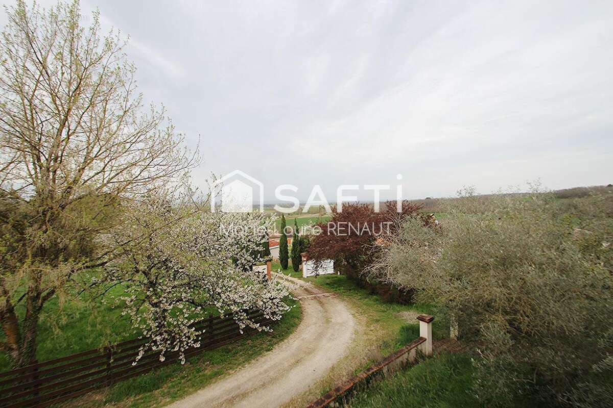 Maison 335 m² à Parisot  - photo 7