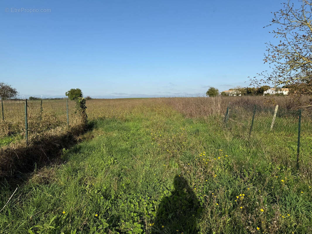 Photo 4 - Terrain à BOUILLE-COURDAULT