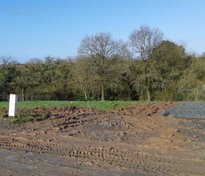 Terrain à PAULX