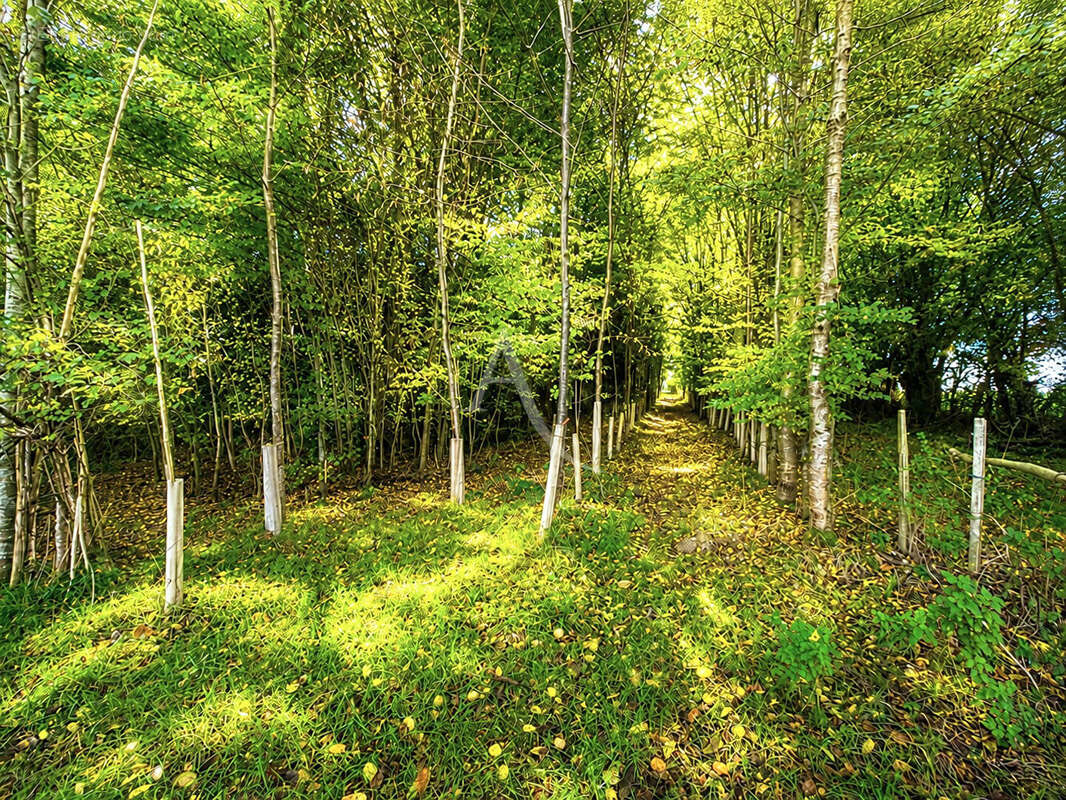 Maison avec confort de plain pied et plus de 1.2 hectares de terrain dont un bois - photo 12