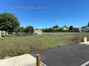 Terrain à SAINTE-NEOMAYE