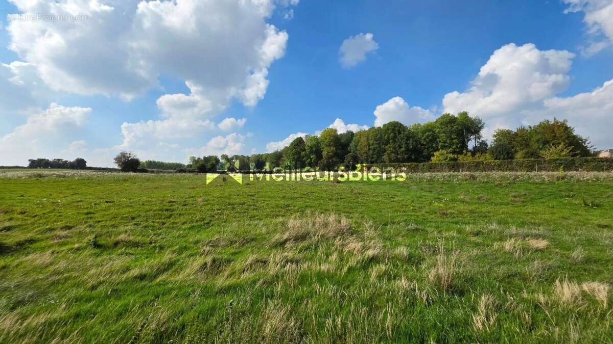 Maison à BETTRECHIES