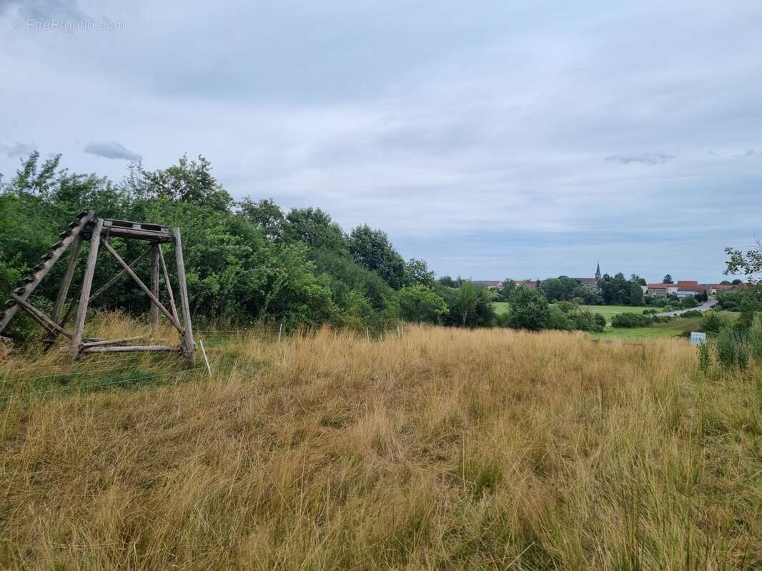 Terrain à vendre de 4 182,00 m²  () - photo 4