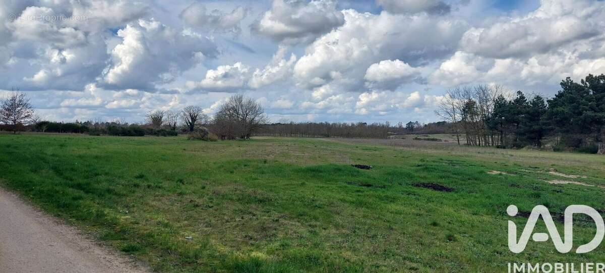 Photo 2 - Terrain à SASSAY