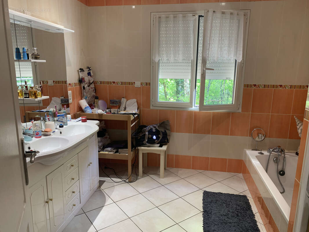 Maison à TERRASSON-LAVILLEDIEU