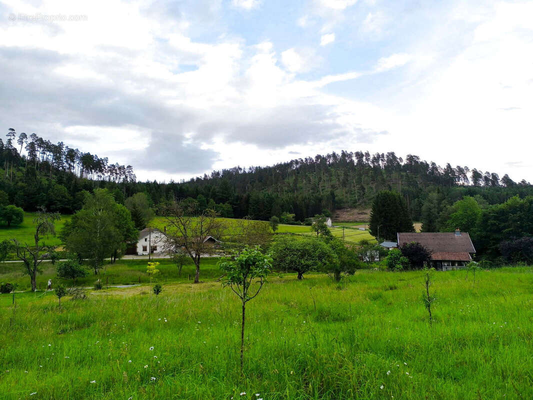 Maison à BIFFONTAINE
