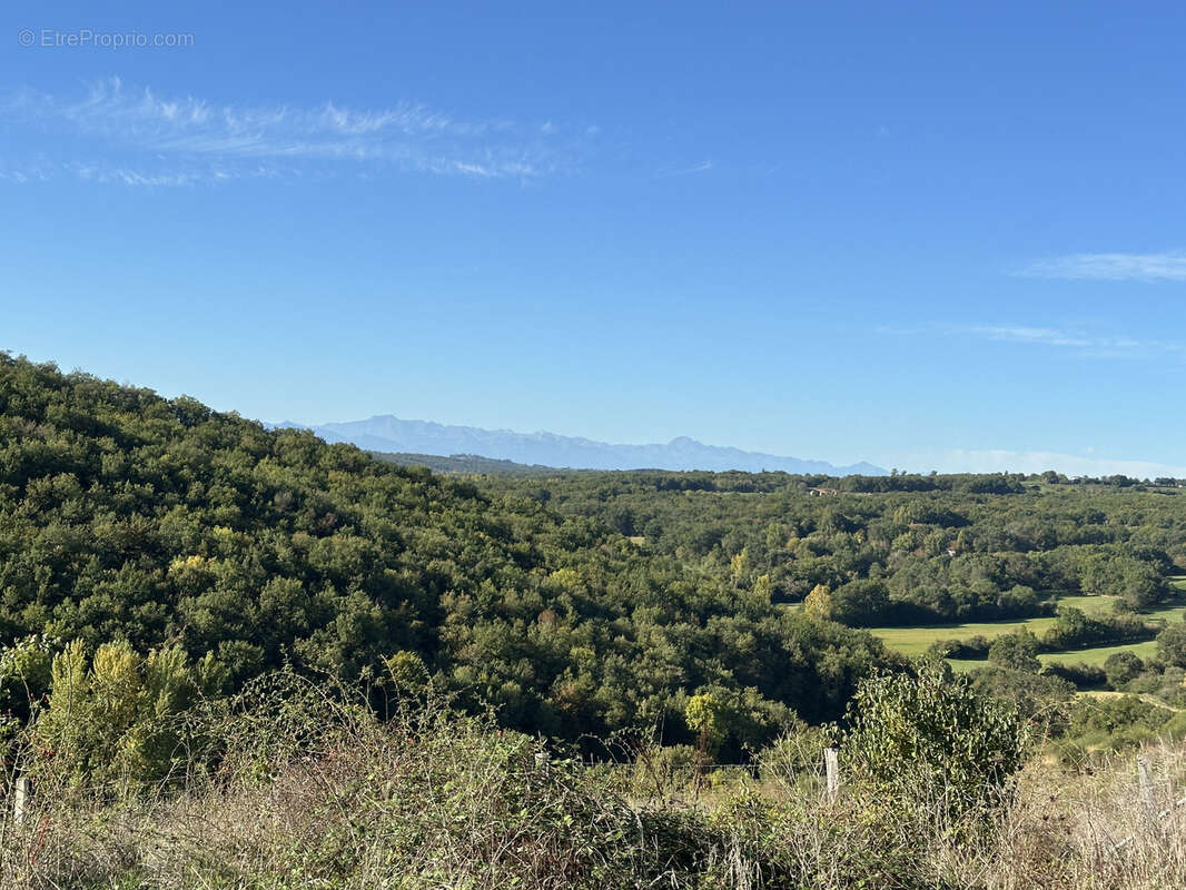Maison à L&#039;ISLE-EN-DODON