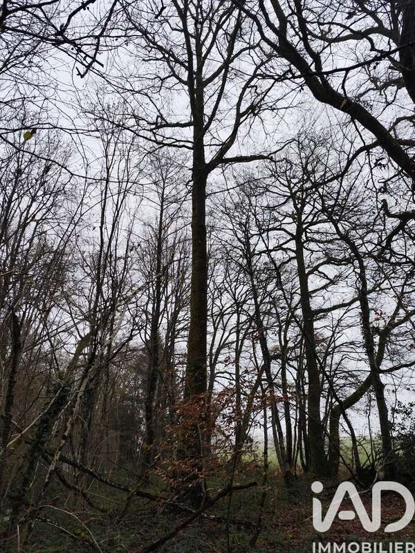 Photo 6 - Terrain à LA CHAPELOTTE