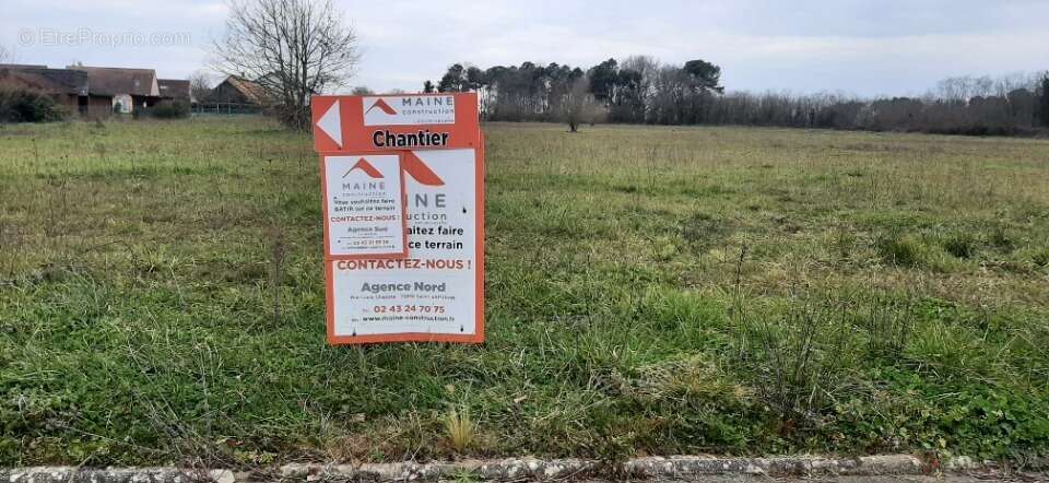 Terrain à ROEZE-SUR-SARTHE
