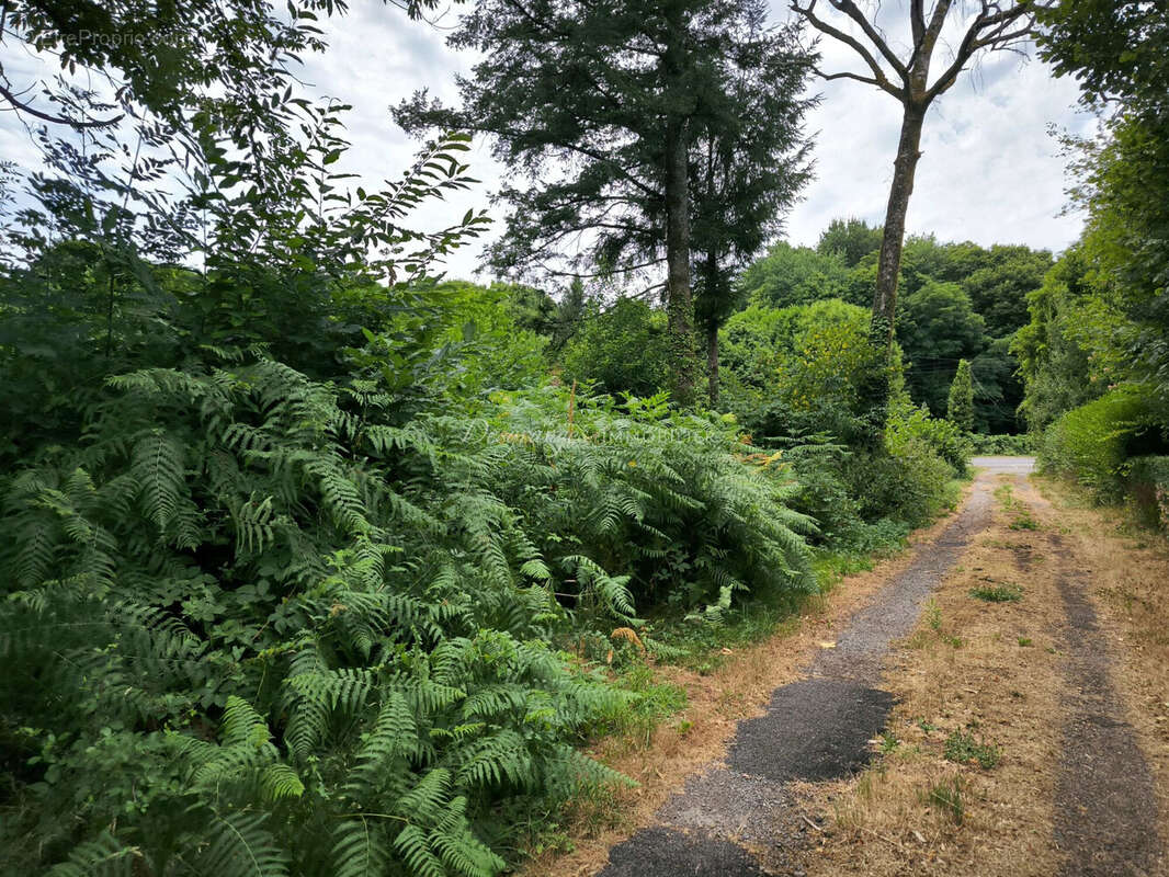 Terrain à BEYSSENAC