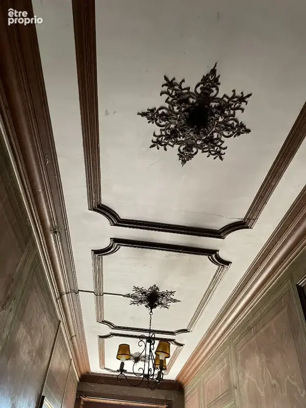 Deumeure de prestige aux portes d'aurillac - photo 12
