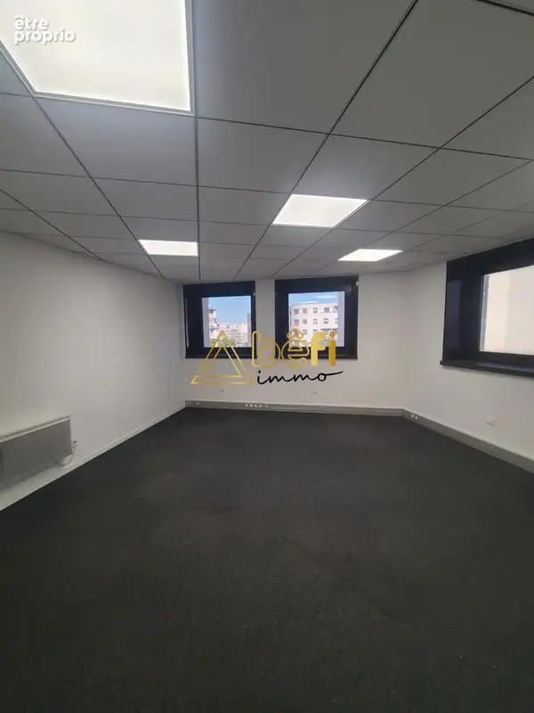Commerce 273 m² à vendre à Lyon-6e (69006) - photo 8