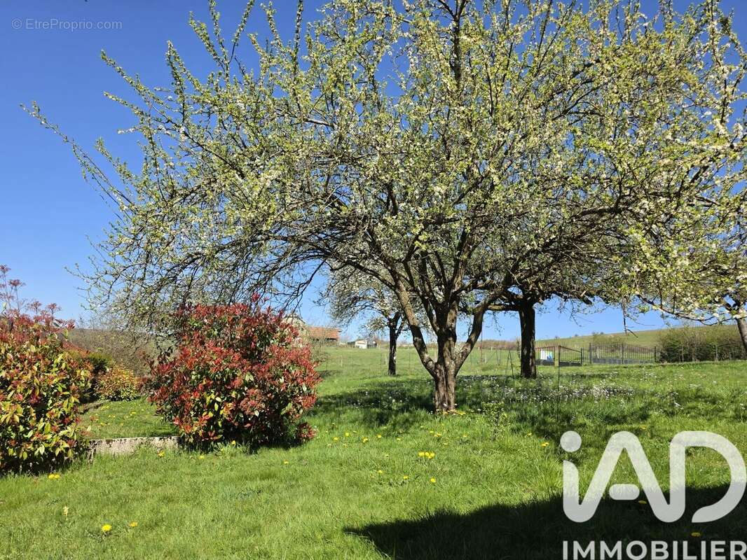 Photo 5 - Terrain à FRANCHEVAL