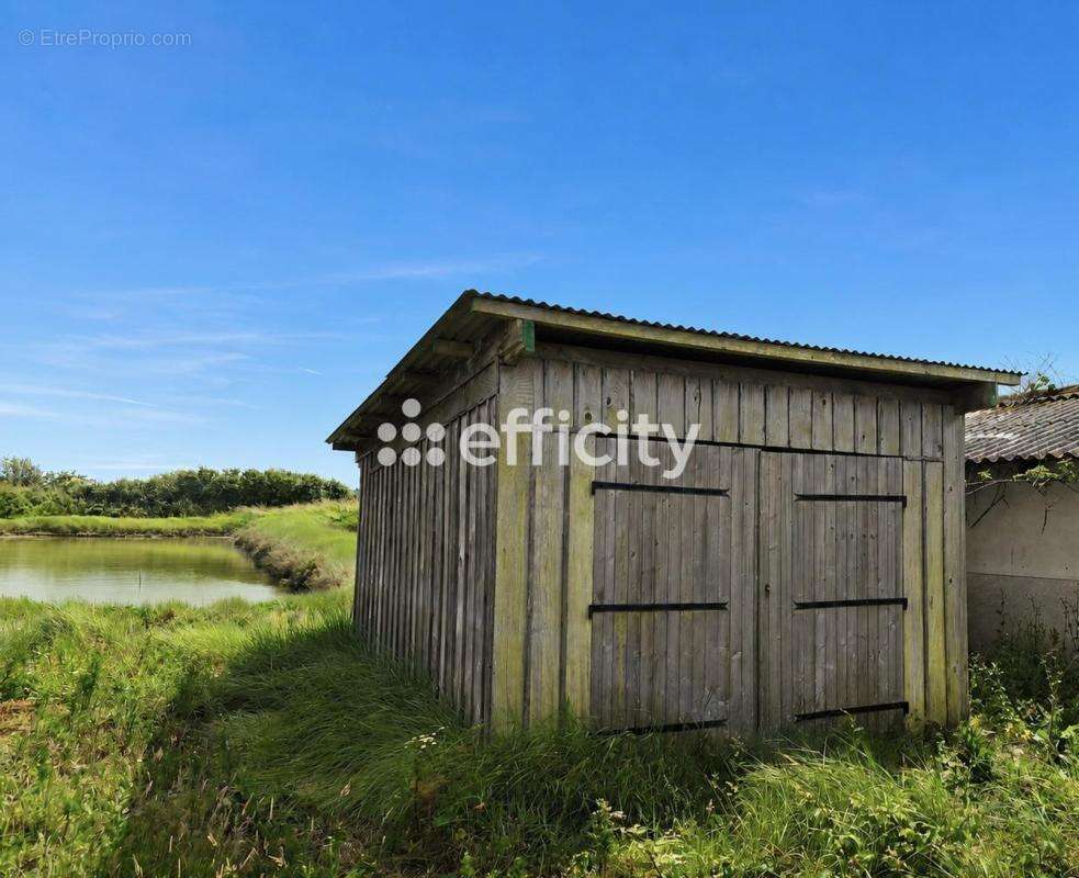 Maison 35 m² à La Tremblade  - photo 8