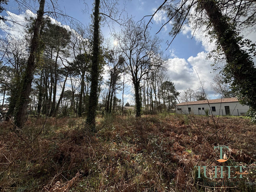 Terrain à LA TREMBLADE