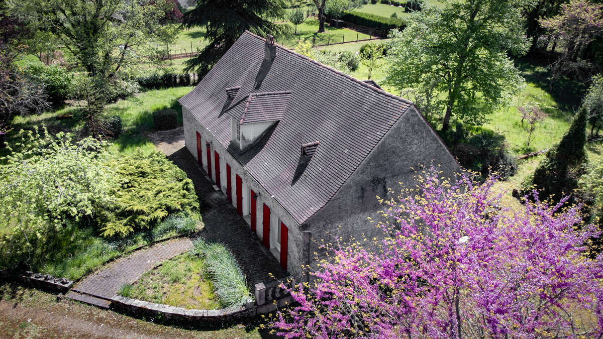 Maison +/- 114 m2, plein pied, 3chambres, garage, atelier, 2.5ha terrain - photo 4