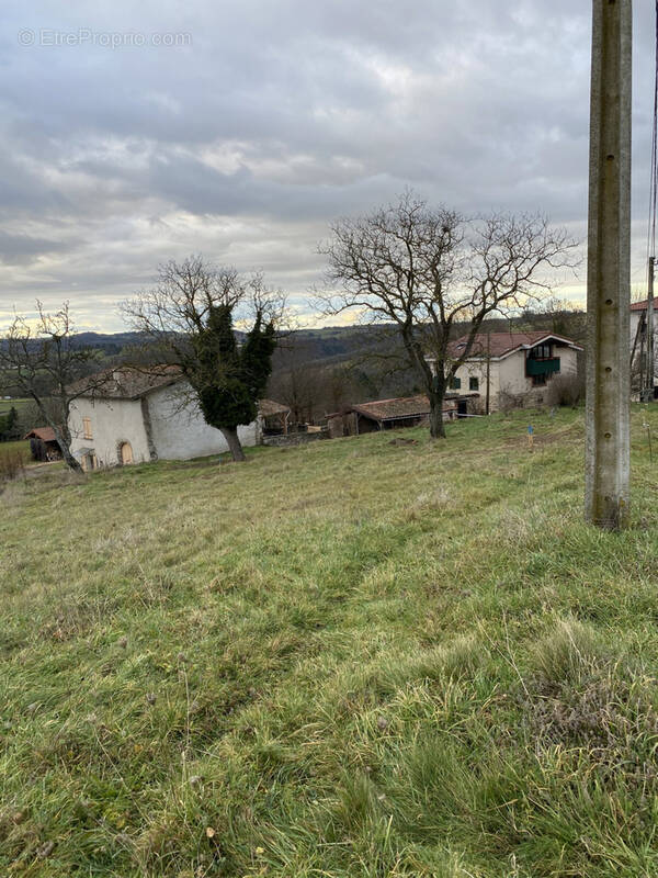 Terrain à SAUVIAT