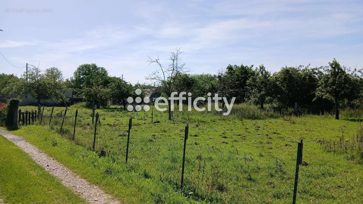 Terrain à aménager - photo 2