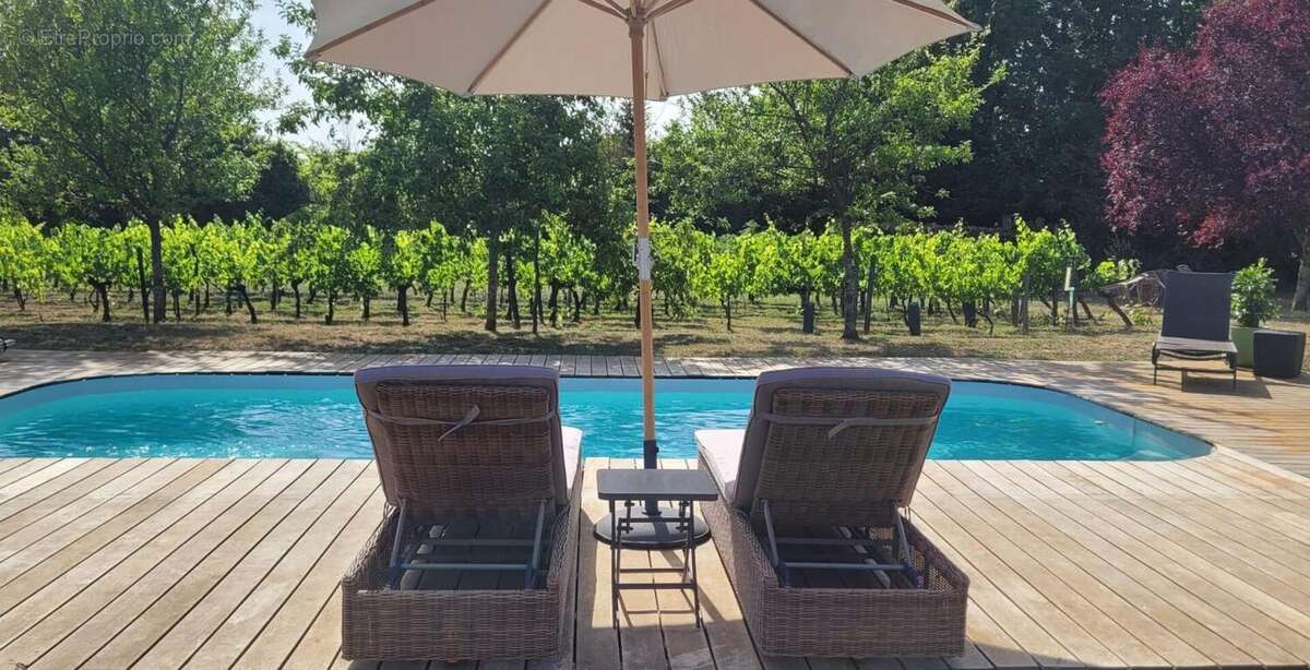 Belle girondine au calme avec vue sur les vignes + gîte haut de gamme - photo 11