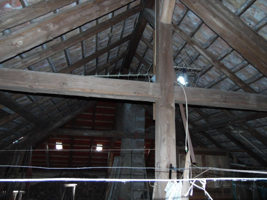 MOUSSEY (Vosges) Maison de Maître de 255 m2 - photo 11