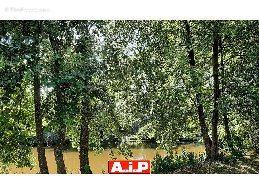 Terrain 61114 m² à Breuil-Barret  - photo 5