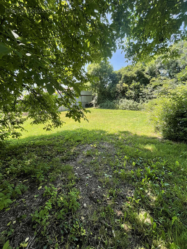 Terrain à VAILLY-SUR-SAULDRE