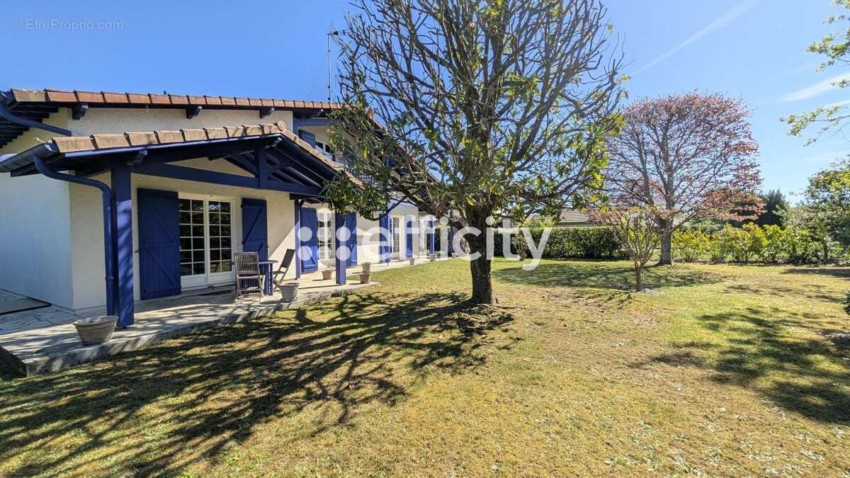 Maison à SAINT-PIERRE-DU-MONT