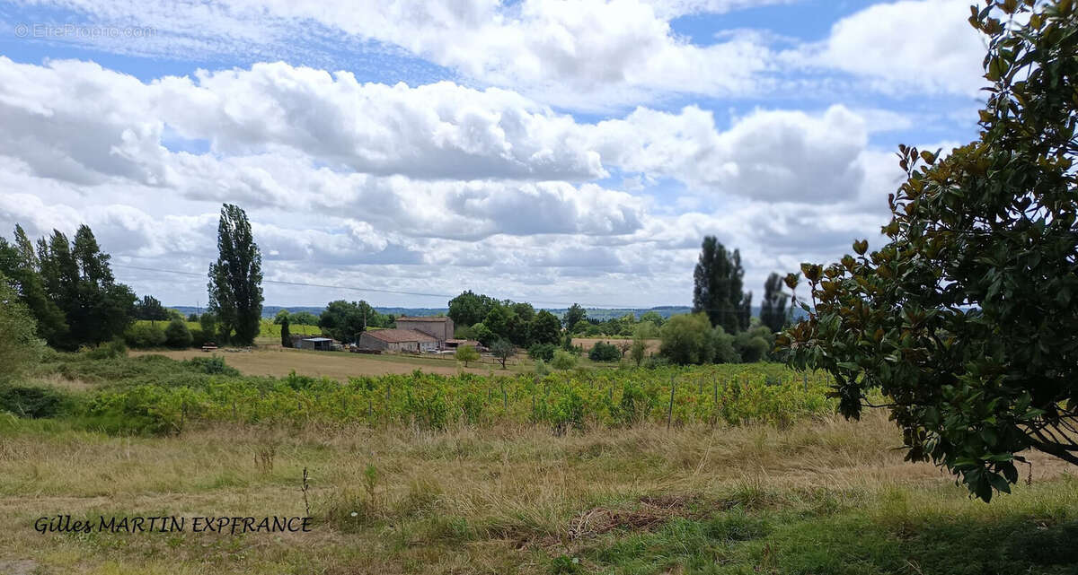 Maison 185 m² à Port-Sainte-Foy-Et-Ponchapt  - photo 3