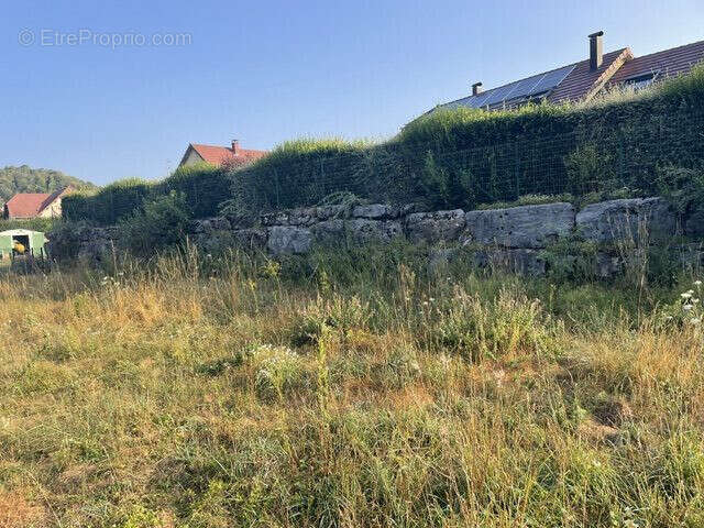 Terrain 7720 m² à Montrond  - photo 4