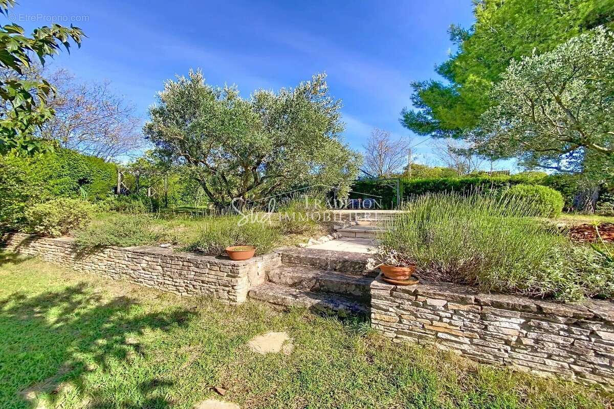 Maison à SAINT-REMY-DE-PROVENCE