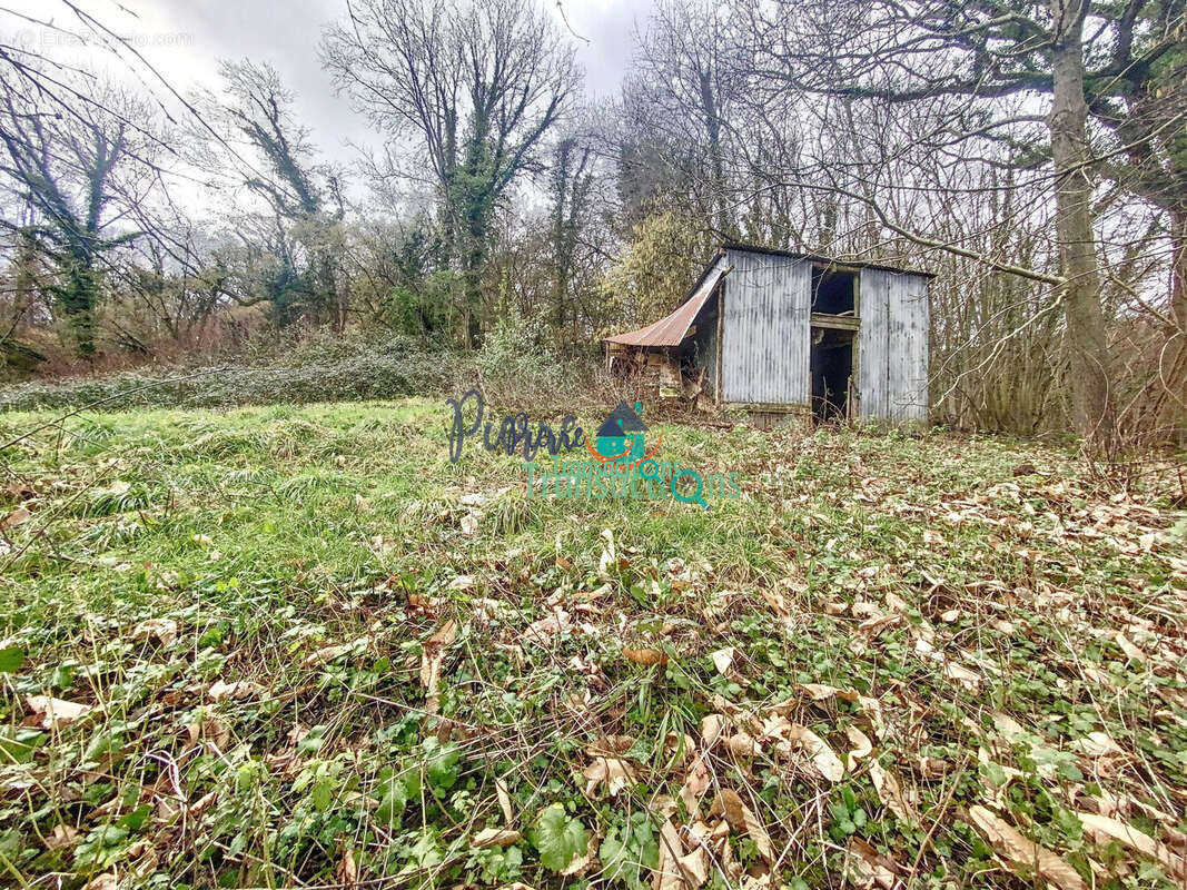 Terrain à LILLEBONNE