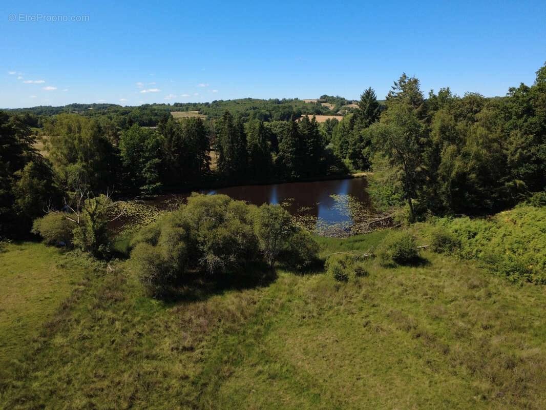 Proche Saint Yrieix La Perche - photo 21