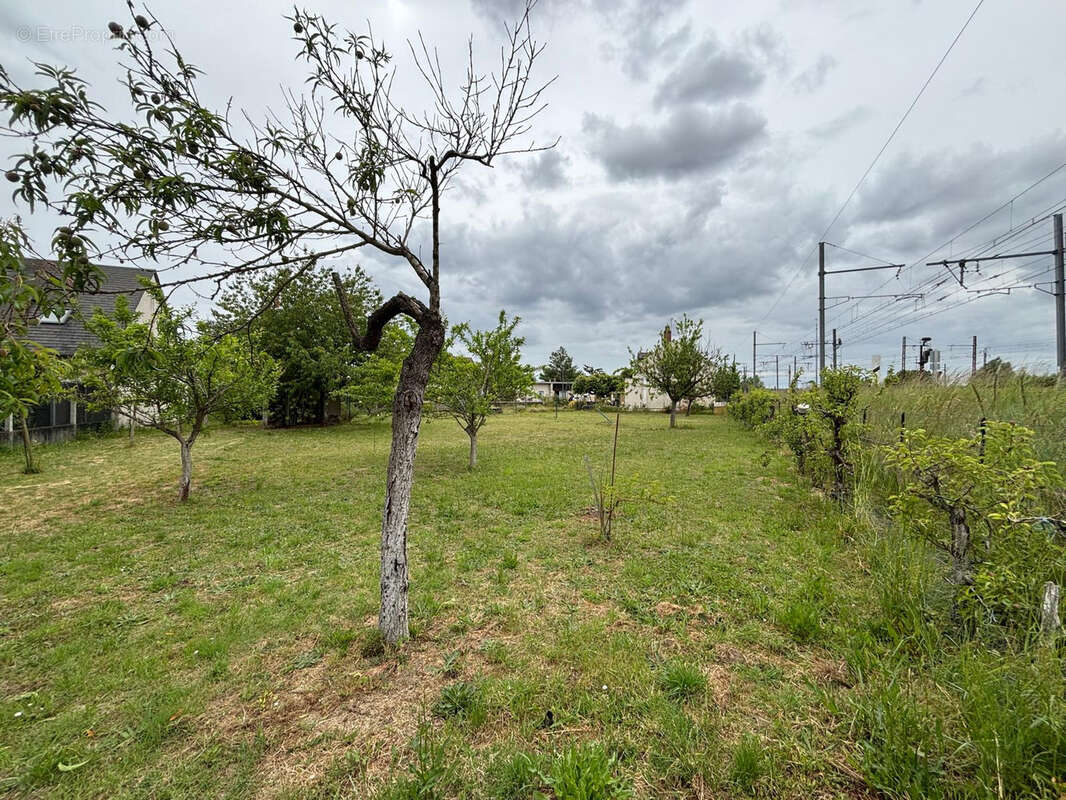 Terrain à LA VILLE-AUX-DAMES