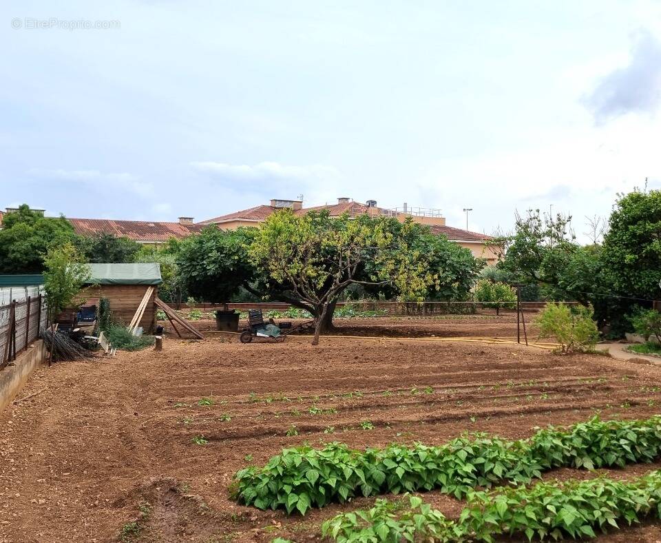 Terrain à LA VALETTE-DU-VAR