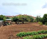 Terrain à LA VALETTE-DU-VAR