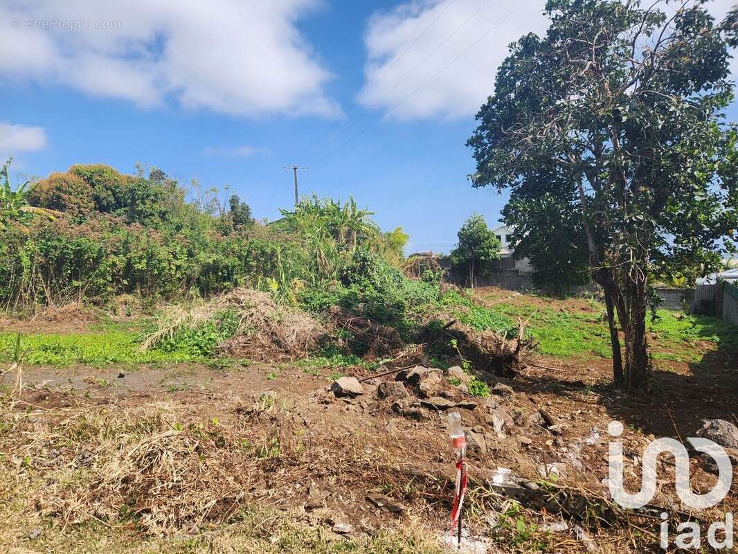 Photo 2 - Terrain à LE TAMPON