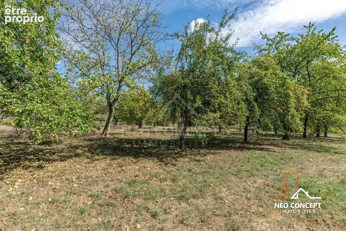 Exclusivité – reichshoffen – charmante maison avec 27 ares de terrain, piscine chauffée et grande dépendance - photo 6