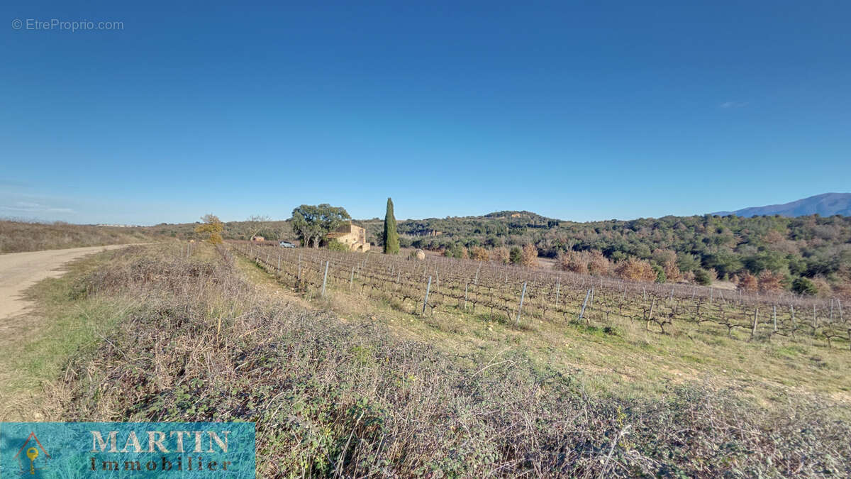 Propriété rurale agricole - photo 2