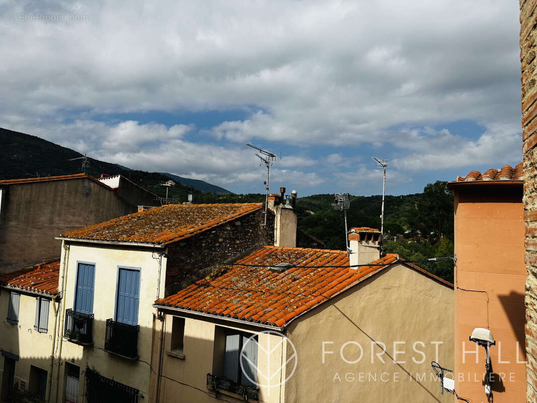 Appartement de caractère au cœur de Céret - photo 11