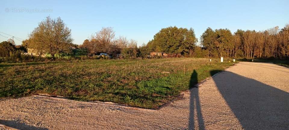 Terrain à VILLEMATIER